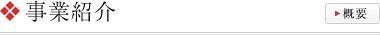 事業紹介 | 概要